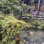 逢坂山 かねよ - お庭 ☆彡