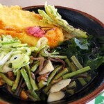 レストラン アルプス 360 - 鶏天うどん コシアブラ天ぷら付き