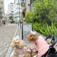 Bistro NOHGA  - 