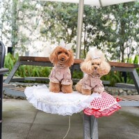 Bistro NOHGA  - 