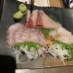 さかな食堂 - 