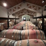 カーブドッチ - 