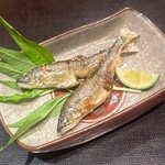 もちづき - 稚鮎の塩焼き