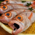 和食のあらまさ - のどぐろ １尾1万円もする高級魚