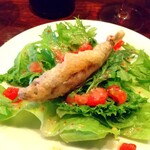 ワインバー マイアーレ - 