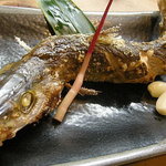 Sushi Unagi Fugu Tashiro - カマスの塩焼き