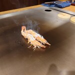 鉄板焼ステーキレストラン 碧 - 久米島産車海老。