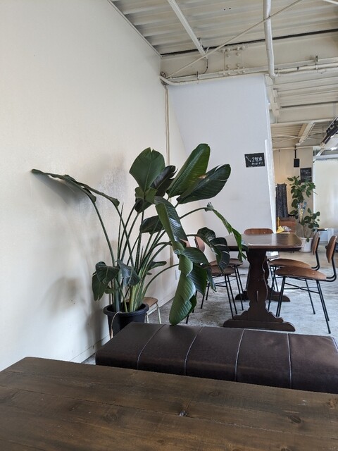 KAMEE COFFEE KYOTO Takatsuji Ten photo 5