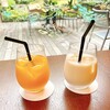And garden　museum cafe - 湯河原みかんジュース、濃厚豆乳