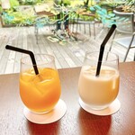 And garden　museum cafe - 湯河原みかんジュース、濃厚豆乳