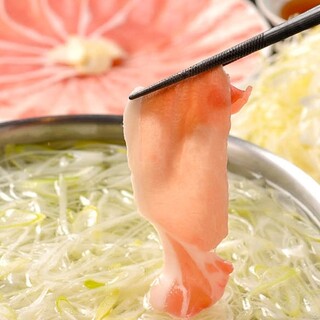 黒豚しゃぶしゃぶ銀座 羅豚_2