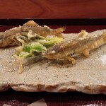 日本料理うすだ - 稚鮎、タラの芽天ぷら