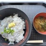 田子の浦港 漁協食堂 - ハーフ丼　¥900(2024/4/17)