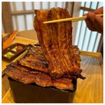 Unagi Kurogi - 