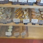 パナデリアトリゴ - 