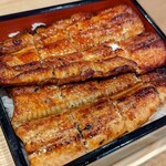 Unagi Kurogi - 