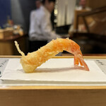 Tempura Miyashiro - 