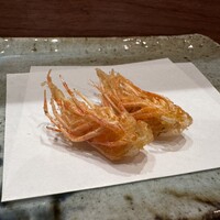 天冨良 よこ田 - 