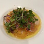 レストラン・サカキ - 大羽鰯と蛸、帆立のセヴィーチェ