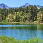 Iru Regaro - 五色沼を散策。萌木色の新緑にかこまれてリフレッシュ出来ました！少し熊にビビりながらだったのは内緒ですw