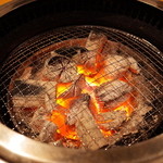 炭焼 金竜山 - ロースター（炭火）　2014.2.2X