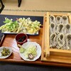 割烹そば処　松苧 - 料理写真:天せいろ（税込み１７００円）