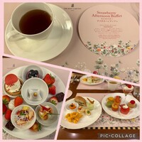 スプレンディード -  スプレンディード -