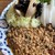 東新宿 サンラサー - 料理写真:花椒キーマカレーとサーグ ダール(ほうれん草とムング豆のカレー)のあいがけ(1,500円)とじーろー味玉(110円)