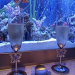 上野 アクアリウムレストラン Nautilus - 記念日とかに嬉しいグラス　でも洗うの大変そう