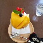 てんとう虫。 - 何度見ても絶景(^-^)