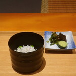 日本料理 幸庵 - グリンピースご飯 釜揚げしらす乗せ