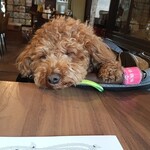 茶屋花冠上川岸別邸 - 