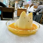 ウォンシャタウン - 