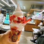 ウォンシャタウン - 