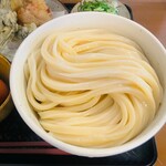 うどん たかしま - しょうゆ冷（特盛）750円