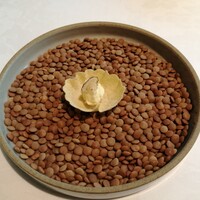 ヴォーロ・コズィ - 