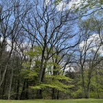 メイプルラウンジ - 