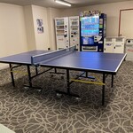 ホテル桃源 - 昭和感満載の卓球台！