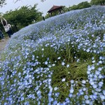 Kakura - 近所の戸田川緑地公園