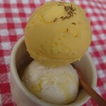 KIKI NATURAL ICECREAM - 