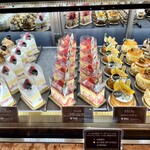 レタンプリュス - 