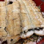 郡上炭火焼　うなぎの魚寅 - 