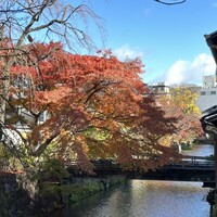  祇園 白川 なみ里 - 