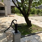 洋菓子マウンテン - 