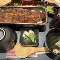 うなぎ四代目菊川 ミッドランドスクエア 名古屋本店 - 