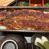 うなぎ四代目菊川 ミッドランドスクエア 名古屋本店 - 
