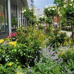 馬車道 大かわ - 