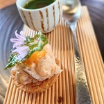 hape - 三河芝海老　不断草