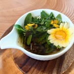 hape - ハーブティー