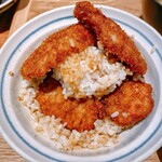 Niigata Katsudon Tarekatsu - 二段もりは ご飯も二段